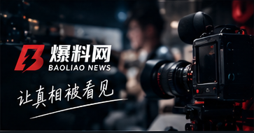 编辑守则视觉说明